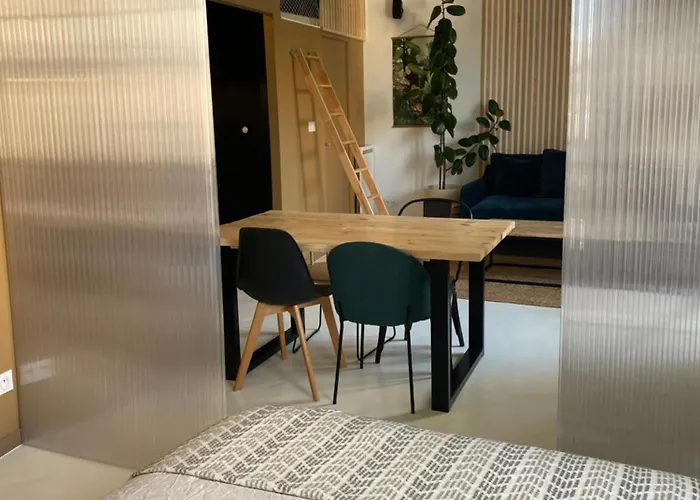 Cosy, Gare 5 Minutes Et Cinema ナント